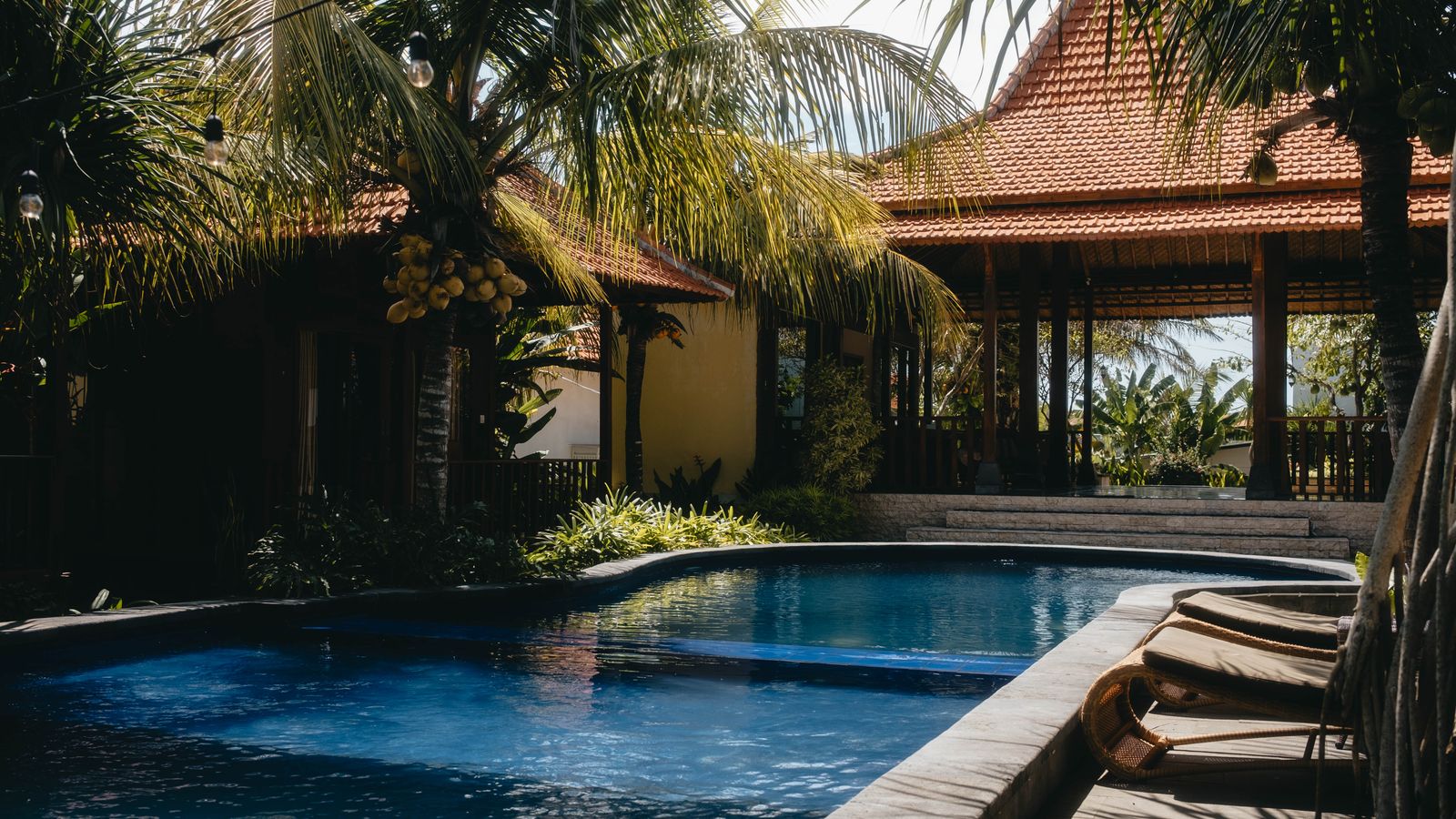 Foto ilustrasi kolam renang villa dengan pohon kelapa
