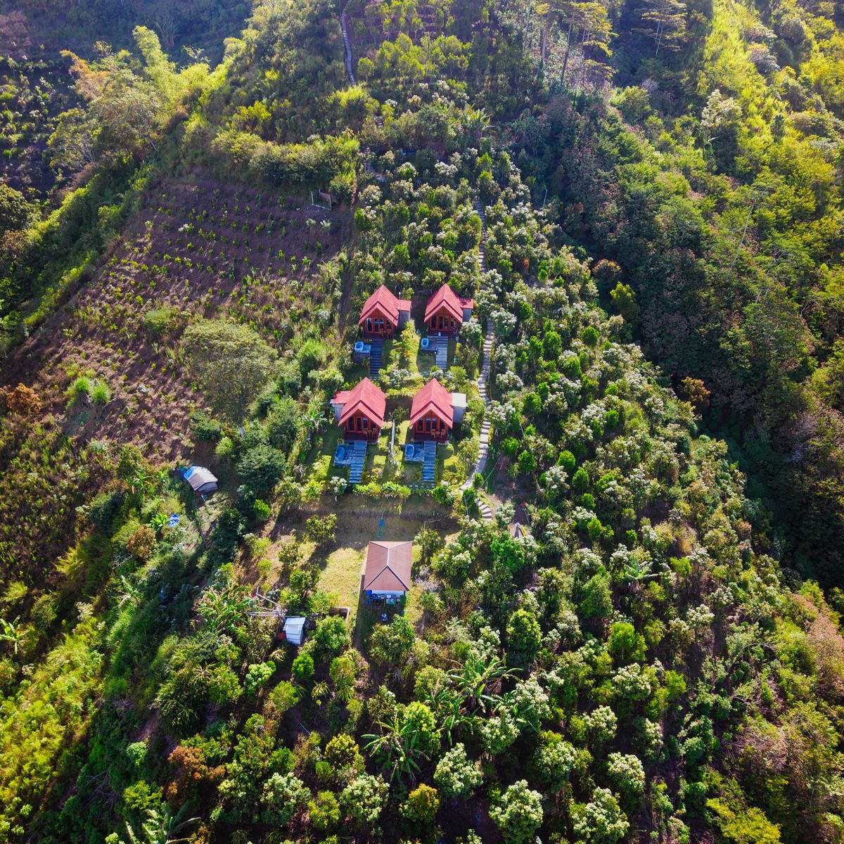 Foto udara ilustrasi villa di tengah pepohonan tropis