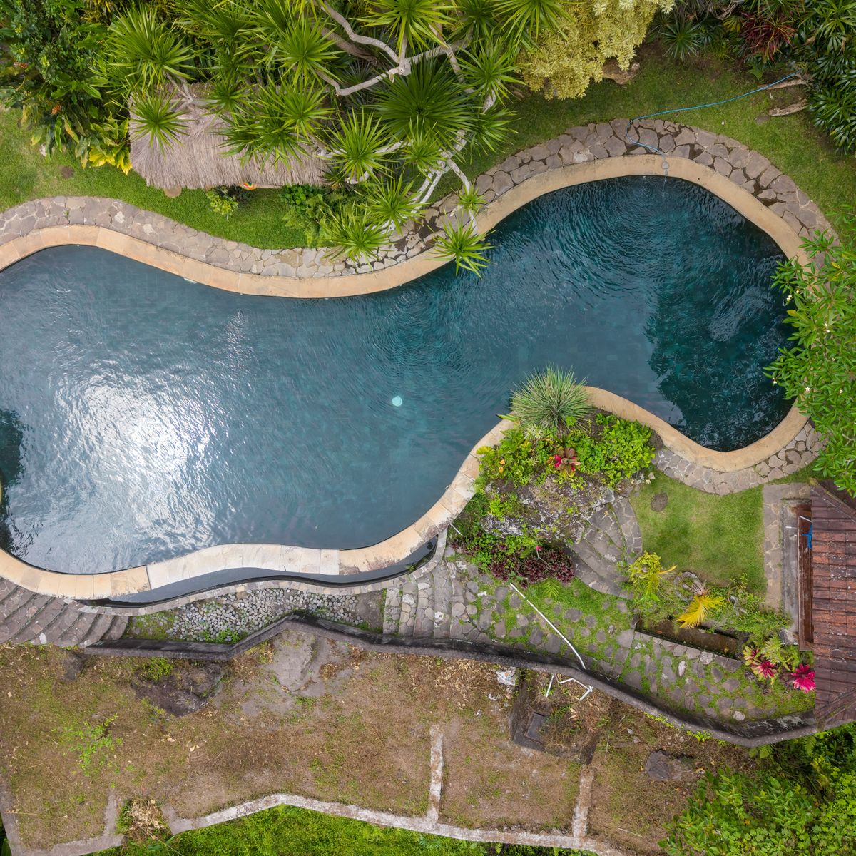 Foto udara ilustrasi kolam renang di tengah kebun tropis